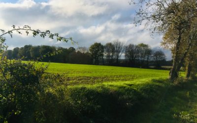 Vivre une expérience de connexion des sens en pleine nature