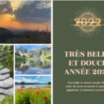 Pour cette nouvelle année, je vous souhaite le meilleur ! Le meilleur qui soit important pour vous. Je vous souhaite de cueillir ce que chaque journée peut vous apporter de mieux. Je vous souhaite d’avancer sur votre chemin de vie, d’avancer dans vos projets.