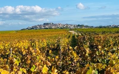 En automne, lâchez ce qui n’a pas lieu d’être