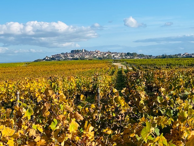 En automne, lâchez ce qui n’a pas lieu d’être