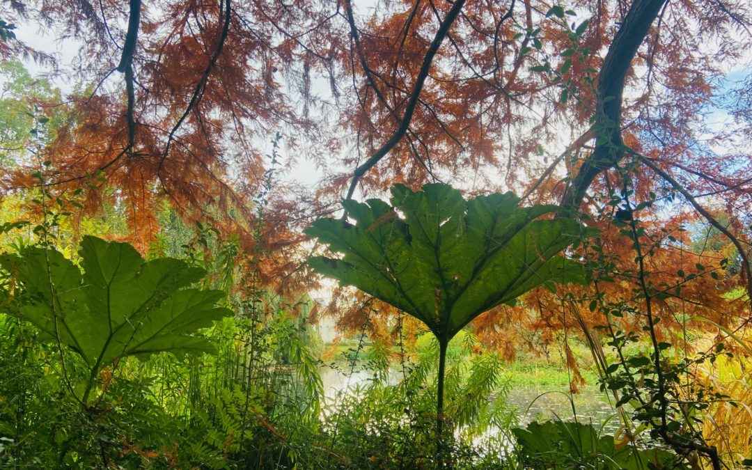 Bien vivre la saison automnale